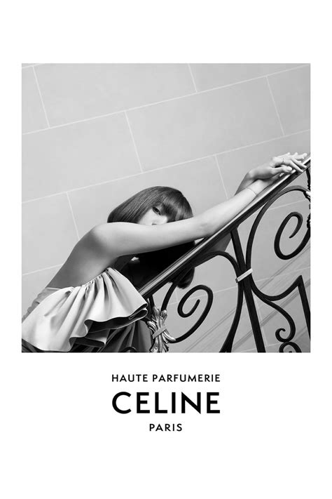 celine ambassador net worth|celine haute lisa.